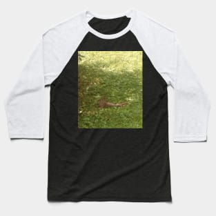 Cool rabbit relaxing on the lawn Baseball T-Shirt